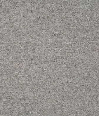 Scion Plains Ten 131825