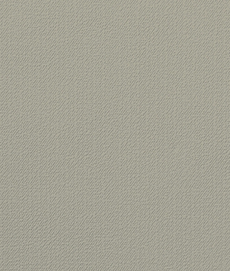 ���� Milassa Wall Booster STR2 001