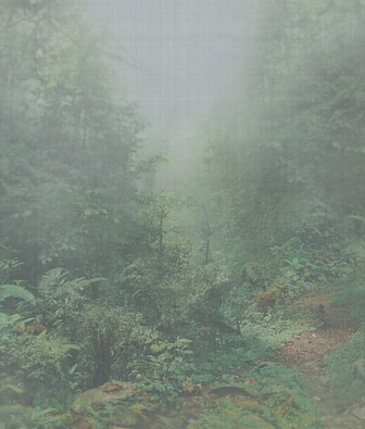 ���� Armani Casa Precious Fibers 2 GA4 9400