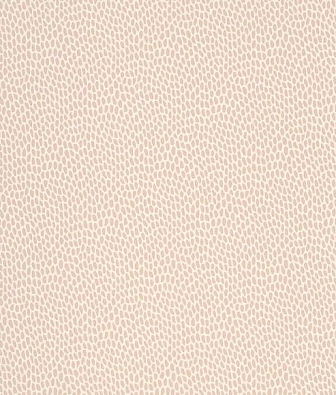 ���� Paint & Paper Library Botany 0360SETEMPL