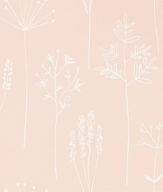 ���� Scion Zanzibar 112018