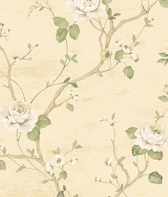 ���� Aura Palazzo G67602